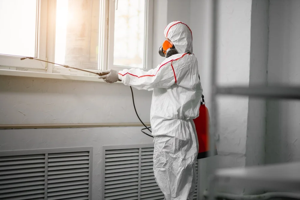 Professional mold remediation services in Princeville, HI